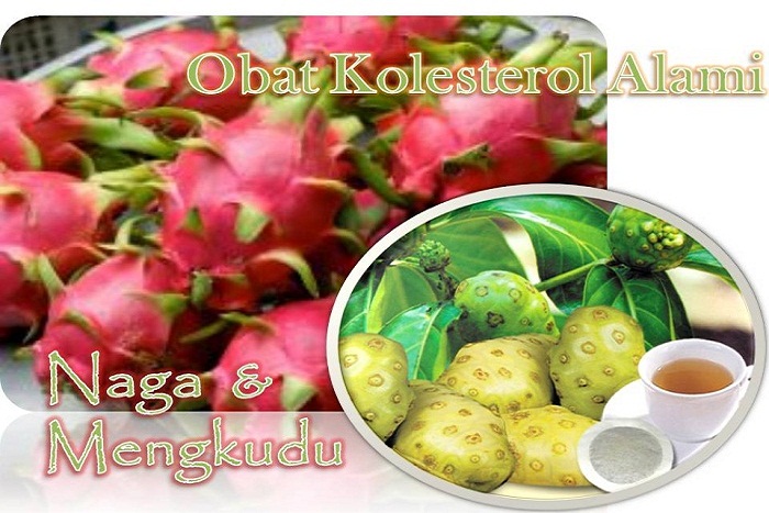 Obat Kolesterol Alami Untuk Melawan Kolesterol Jahat