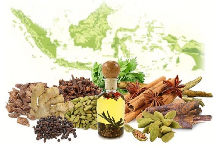 Ini Lho Beberapa Tanaman yang Bisa Dijadikan Obat Herbal