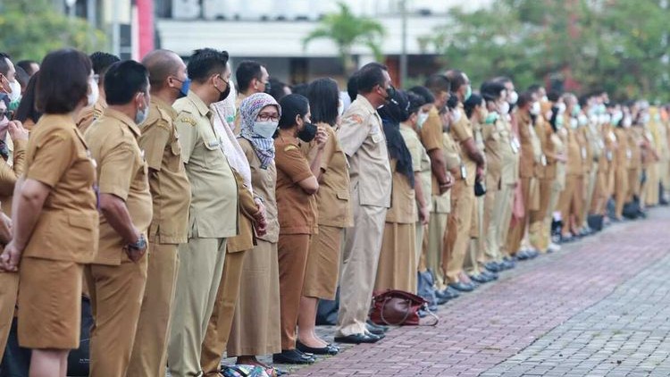 Pengertian ASN dan Jenjang Kariernya: Bagaimana Prospek ASN?