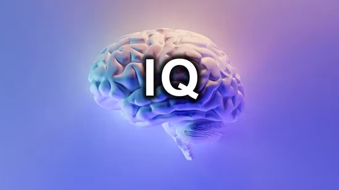Apakah Skor Tes Online IQ Bisa Meningkat? Ini Cara Melatihnya!