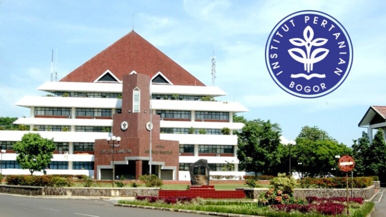 Passing Grade SNBT IPB Kunci Sukses Masuk IPB dengan Nilai Tinggi