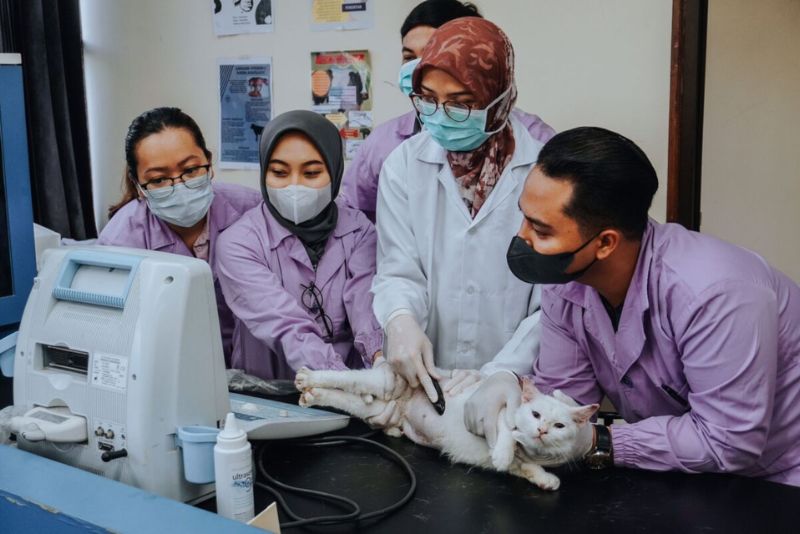 Peran Teknologi dalam Program Studi Kedokteran Hewan Terbaik: Inovasi dan Pembelajaran Modern
