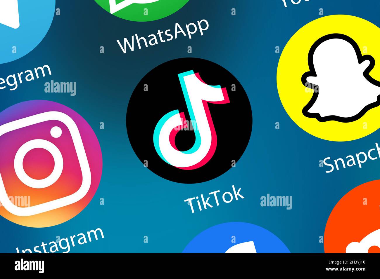 Optimasi Profil TikTok untuk Meningkatkan Daya Tarik Pengikut