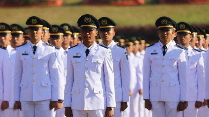 Beasiswa di IPDN: Panduan Lengkap untuk Orang Tua Calon Mahasiswa